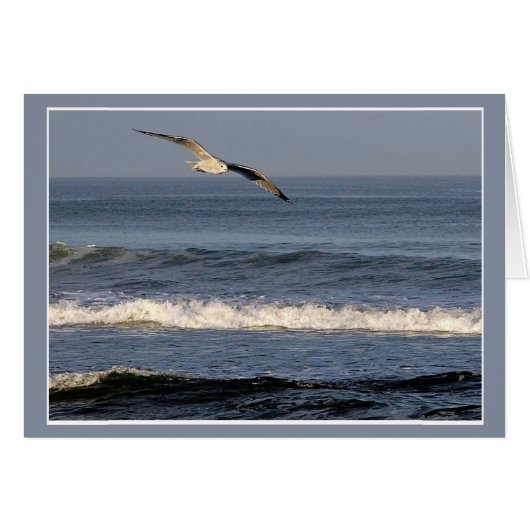 OBX上空の飛行 (正面横)