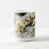 OBX幽霊カニノースカロライナ写真 コーヒーマグカップ (中央)