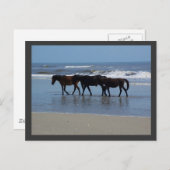 OBX ポストカード (正面/裏面)