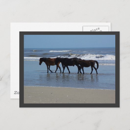 OBX ポストカード (正面/裏面)