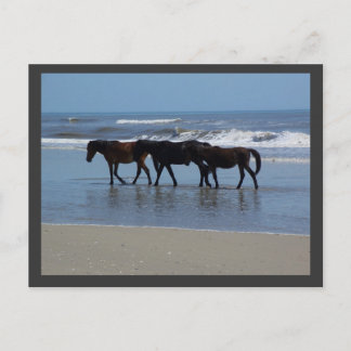 OBX ポストカード