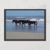 OBX ポストカード (正面)