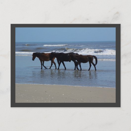 OBX ポストカード (正面)