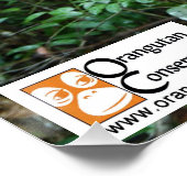 OCオランウタンポスター ポスター (コーナー)