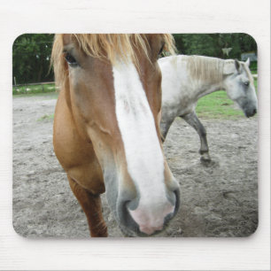 Ocalaフロリダの乗馬の芸術のマウスパッドの馬 マウスパッド