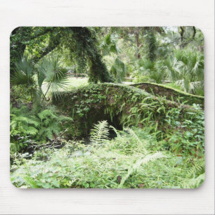 Ocalaフロリダの森林歩道橋のmousepadの写真の芸術 マウスパッド