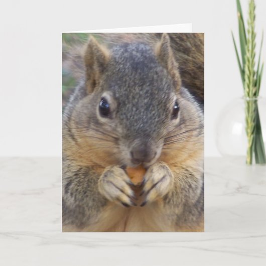 Occasion_あらゆるカード誘われます 招待状 (正面)