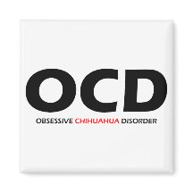 OCD – 強迫性チワワ病
