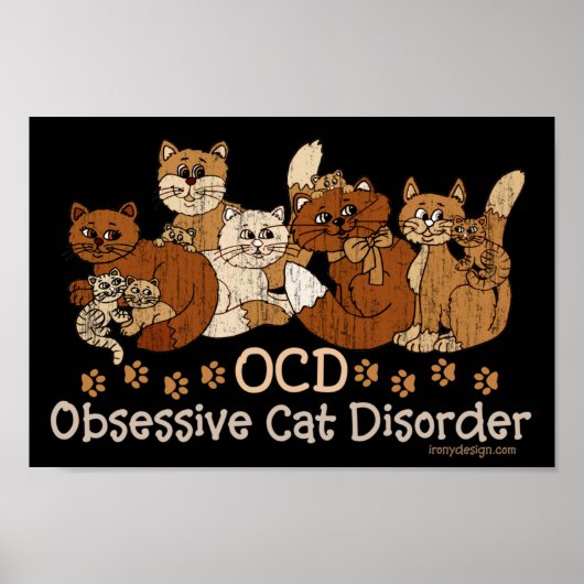 OCD Obsessive Cat Disorder ポスター (正面)