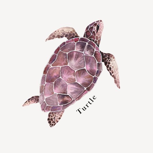 Ocean Animals Educational Poster ポスター