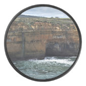 Ocean Carved Wonders アイスホッケーパック (正面)