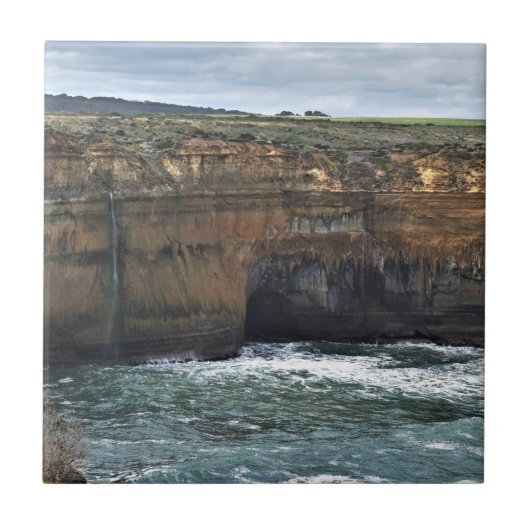 Ocean Carved Wonders タイル (正面)