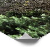 Ocean Carved Wonders ポスター (角)