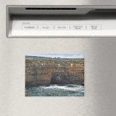 Ocean Carved Wonders マグネット (インサイチュ (食洗機))