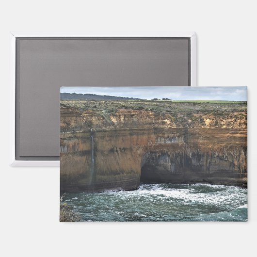 Ocean Carved Wonders マグネット (正面/裏面)