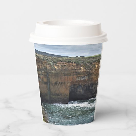 Ocean Carved Wonders 紙コップ (裏面)