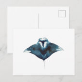 Oceanic Manta Ray Postcard ポストカード (正面/裏面)