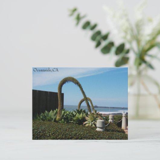 Oceanside、Ca、Oceanside、CA ポストカード (スタンド正面)