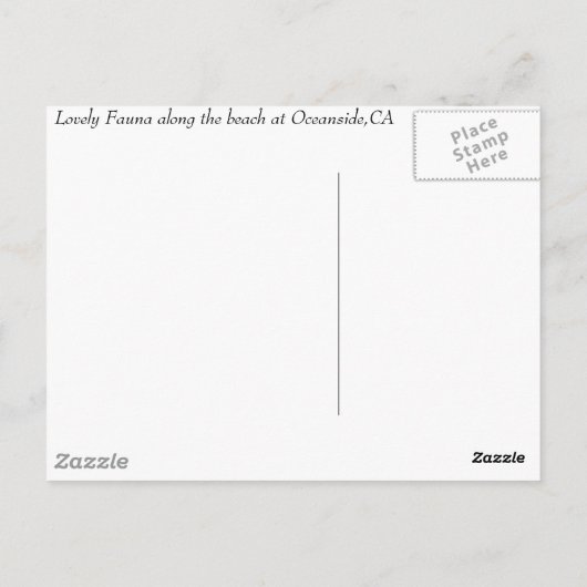 Oceanside、Ca、Oceanside、CA ポストカード (裏面)