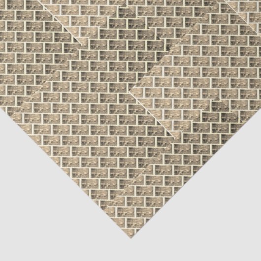 #OCEANSKYILLUSIONS @ #GIFTGIVING #SWAGDESIGNWORLD 薄葉紙 (詳細)