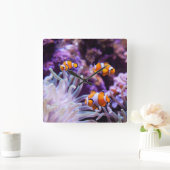 Ocellaris Clownfish |のAmphiprion Ocellaris スクエア壁時計 (ホーム)