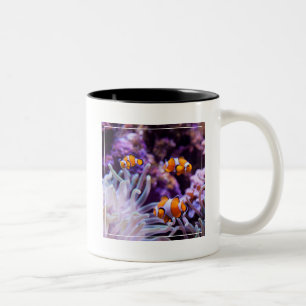 Ocellaris Clownfish のAmphiprion Ocellaris ツートーンマグカップ