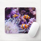 Ocellaris Clownfish |のAmphiprion Ocellaris マウスパッド (マウス)