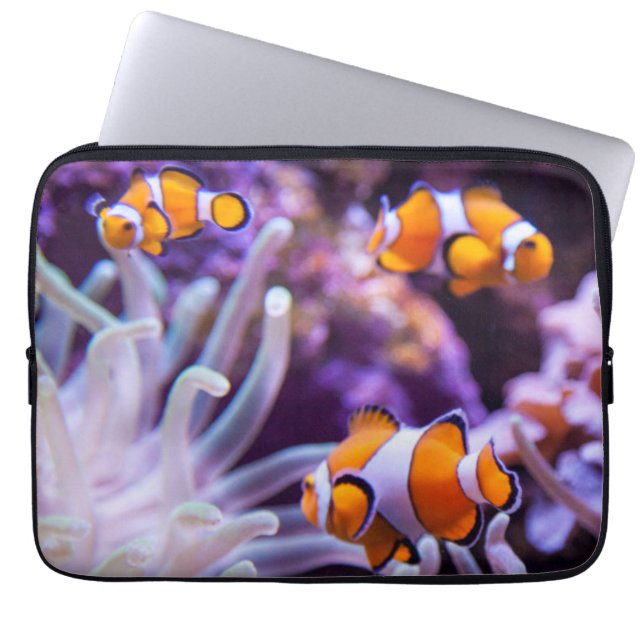 Ocellaris Clownfish |のAmphiprion Ocellaris ラップトップスリーブ (正面)