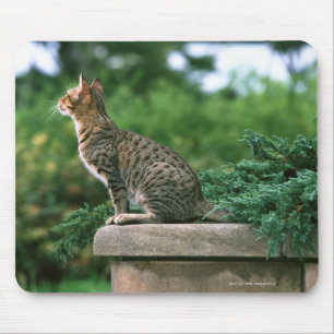 Ocicat 2 マウスパッド