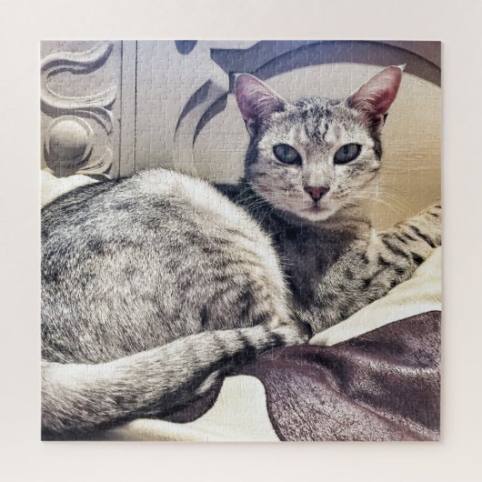 Ocicat Beautiful CatまたはYour Photo Square ジグソーパズル (縦)