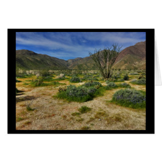 Ocotillo Borrego Springs 2017年
