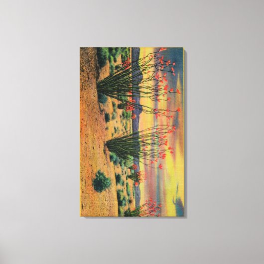 Ocotillo Flowers in California DesertStat キャンバスプリント (正面)