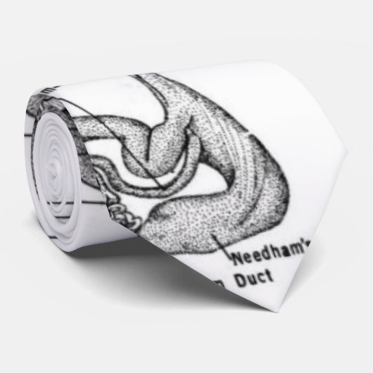 Oct8pusのタイの解剖学 ネクタイ (ロール)