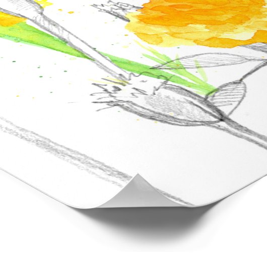 October Birth Flower Language of Flowers Marigold ポスター (角)