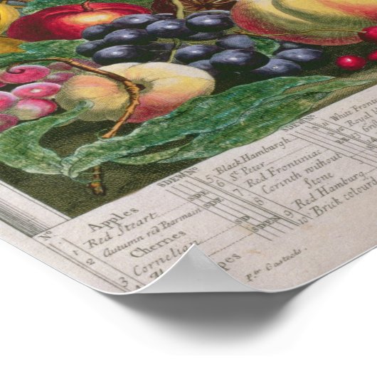 October, from 'Twelve Months of Fruits' ポスター (角)