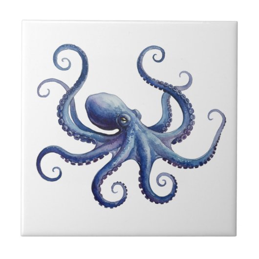 Octopus タイル (正面)