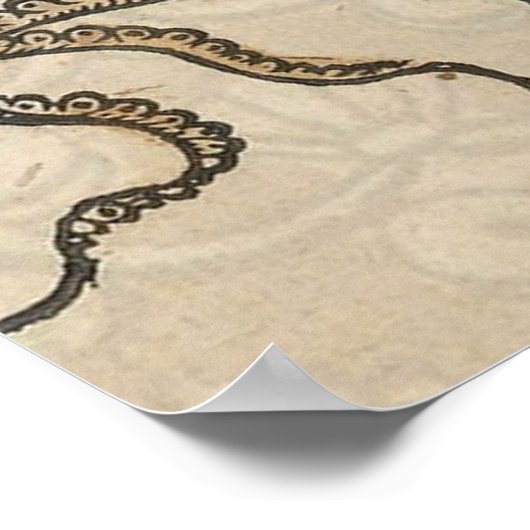 Octopus Kraken Vintage Illustration ポスター (角)