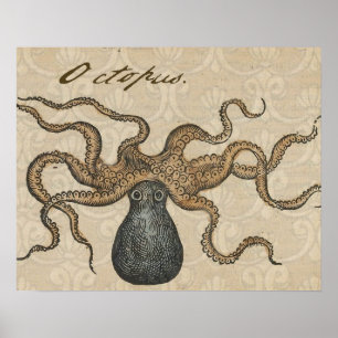 Octopus Kraken Vintage Illustration ポスター