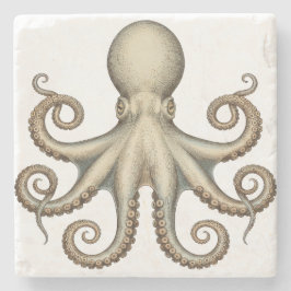 Octopus scientific diagram unique artwork retro ストーンコースター