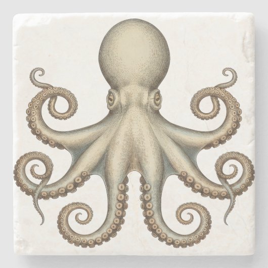 Octopus scientific diagram unique artwork retro  ストーンコースター (正面)