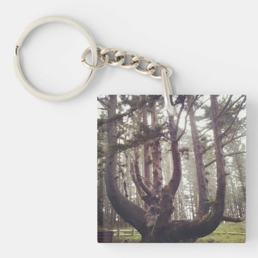 Octopus Tree、Cape Meares、オレゴン キーホルダー (正面)