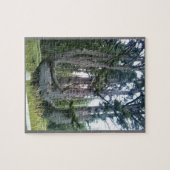 Octopus Tree、Cape Meares、オレゴン ジグソーパズル (横)