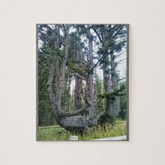 Octopus Tree、Cape Meares、オレゴン ジグソーパズル (縦)