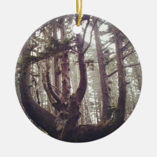 Octopus Tree、Cape Meares、オレゴン セラミックオーナメント (正面)