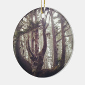 Octopus Tree、Cape Meares、オレゴン セラミックオーナメント (左)