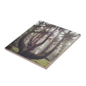 Octopus Tree、Cape Meares、オレゴン タイル (側面)