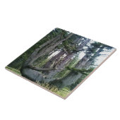 Octopus Tree、Cape Meares、オレゴン タイル (側面)