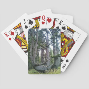 Octopus Tree、Cape Meares、オレゴン トランプ