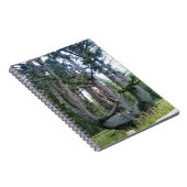 Octopus Tree、Cape Meares、オレゴン ノートブック (右側)