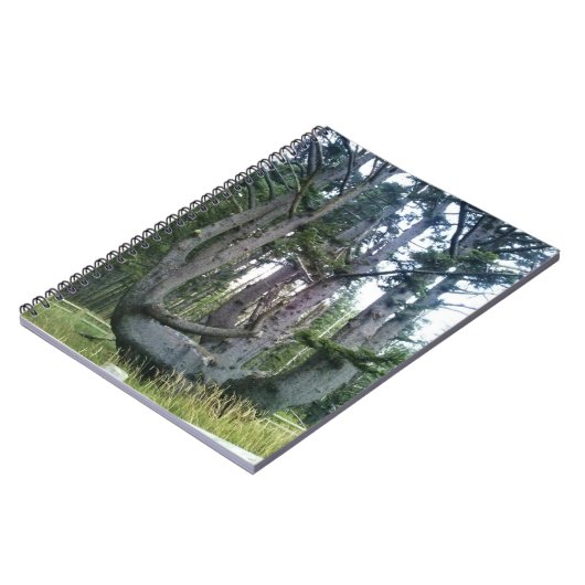 Octopus Tree、Cape Meares、オレゴン ノートブック (左側)